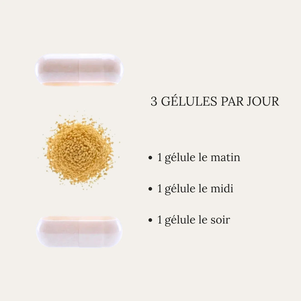 Pain Regulation [03]