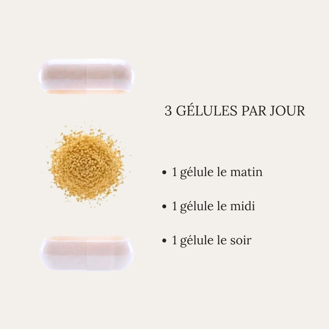 Pain Regulation [03]